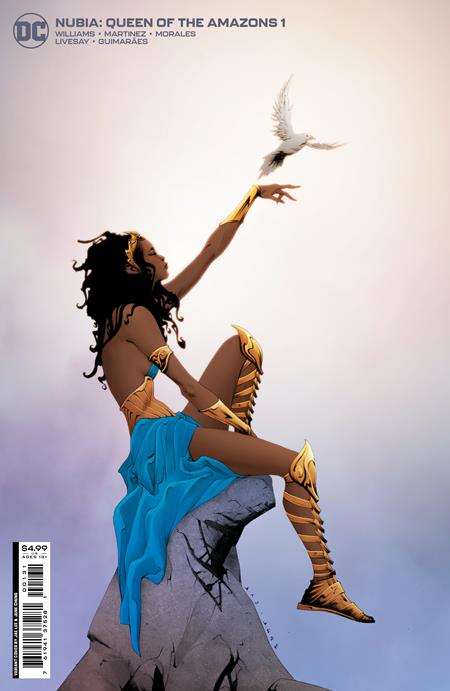 NUBIA QUEEN OF THE AMAZONS #1 (OF 4) CVR B JAE LEE CARD STOCK VAR - KEY ISSUE